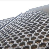 連鎖護坡模具工字護坡模具塑料模具系列產(chǎn)品——保定開元國通塑料模具模盒廠專業(yè)展示